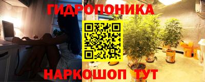 мет Ливны