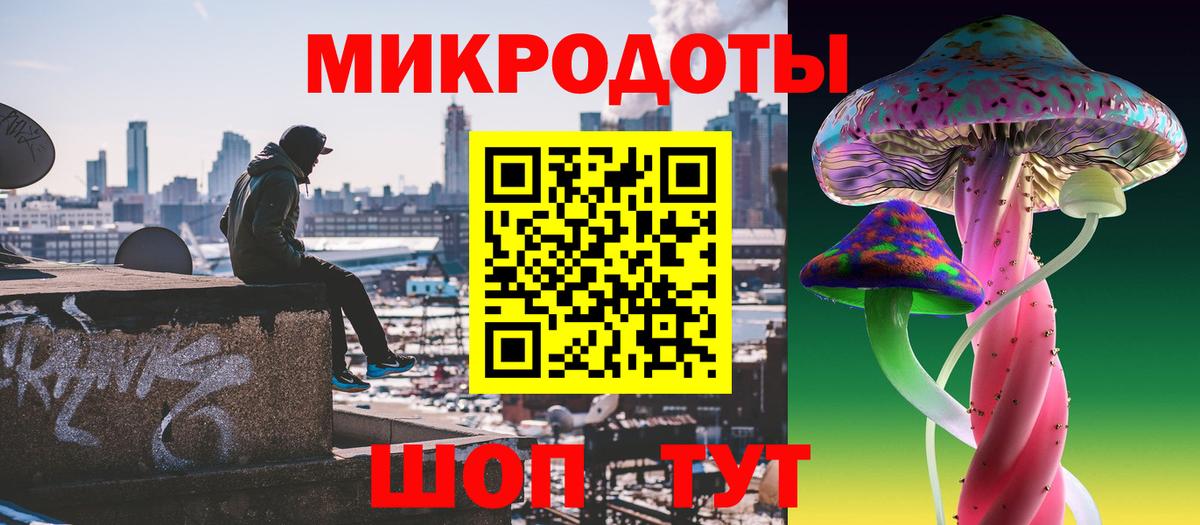 Галлюциногенные грибы Psilocybine cubensis Горячий Ключ